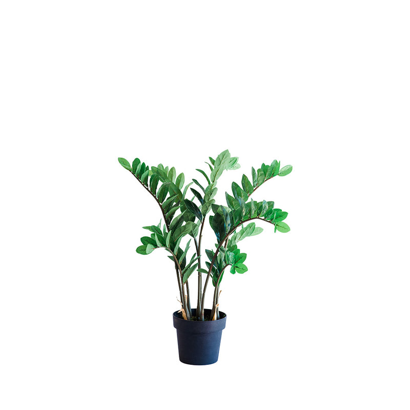Plant Couture - Artificial Plant & Pot Combo - With Zamifolia 87cm