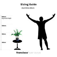 Zamifolia 64cm - Plant Couture - Artificial Plants