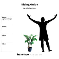 Zamifolia 87cm - Plant Couture - Artificial Plants