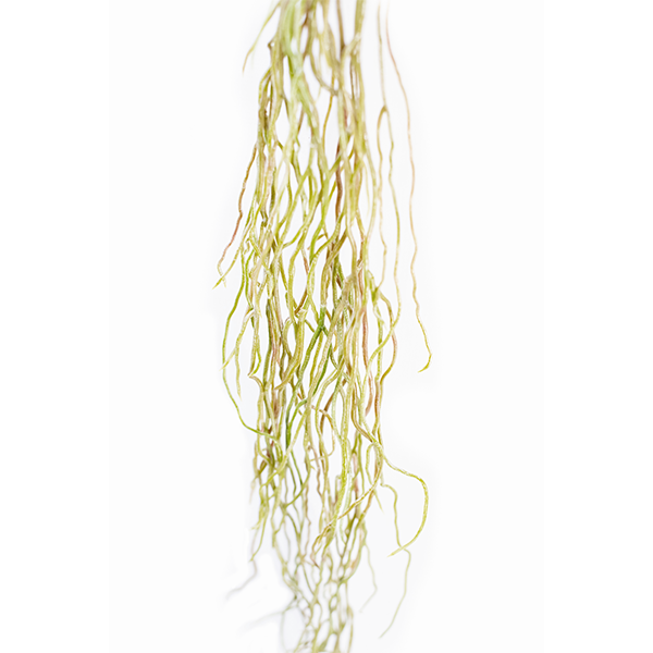 Plant Couture - Artificial Plants - Hanging Aerial Root 100cm - Close Up