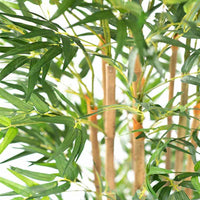 Plant Couture - Artificial Plants - Bamboo Tree 180cm - Close Up
