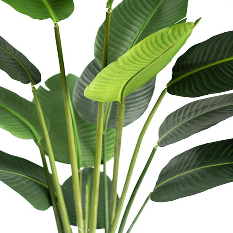 Plant Couture - Artificial Plants - Bird Of Paradise Tree 180cm - Close Up Of Leaves And Stems 