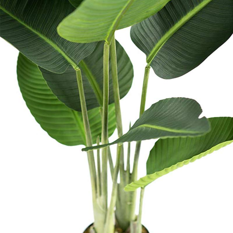 Plant Couture - Artificial Plants - Bird Of Paradise Tree 120cm - Close Up Of Leaves And Stems 