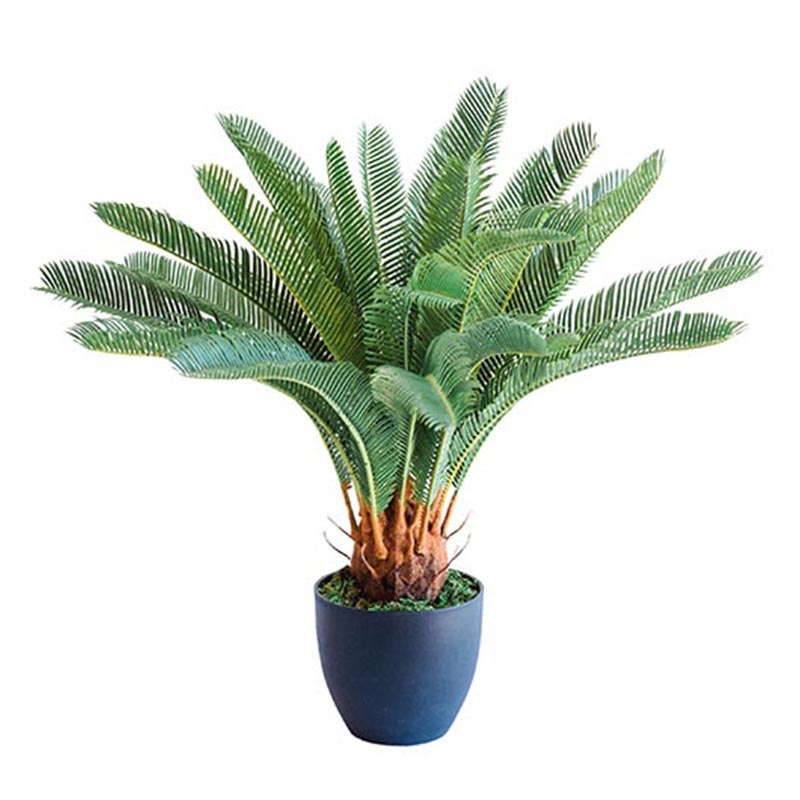 Plant Couture - Artificial Plant & Pot Combo - With Cycas 72cm