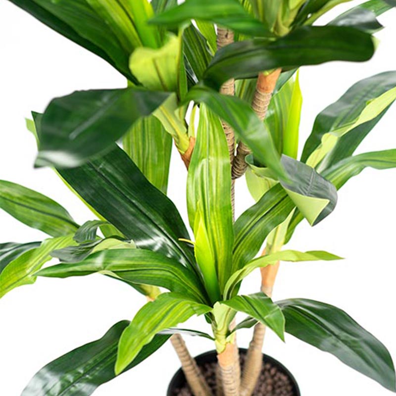 Plant Couture - Artificial Plants - Dracaena 130cm - Close Up Of Stems And Leaves 