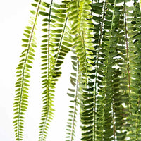 Plant Couture - Artificial Plants - Hanging Fern 165cm - Close Up 