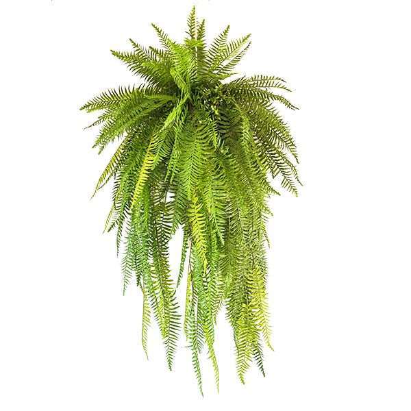 Plant Couture - Artificial Plants - Hanging Fern Ball 135cm