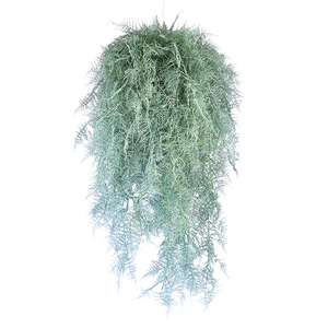 Plant Couture - Artificial Plants - Hanging Fern Ball Grey Asparagus Fern