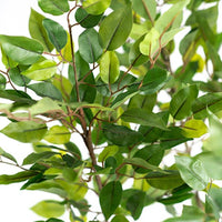 Plant Couture - Artificial Plants - Ficus Mini Tree 135cm - Close Up Of Leaves 