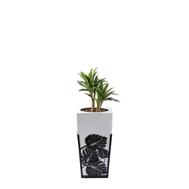 Plant Couture - Artificial Plant & Pot Combo - Gaultier DL with Dracaena 80cm