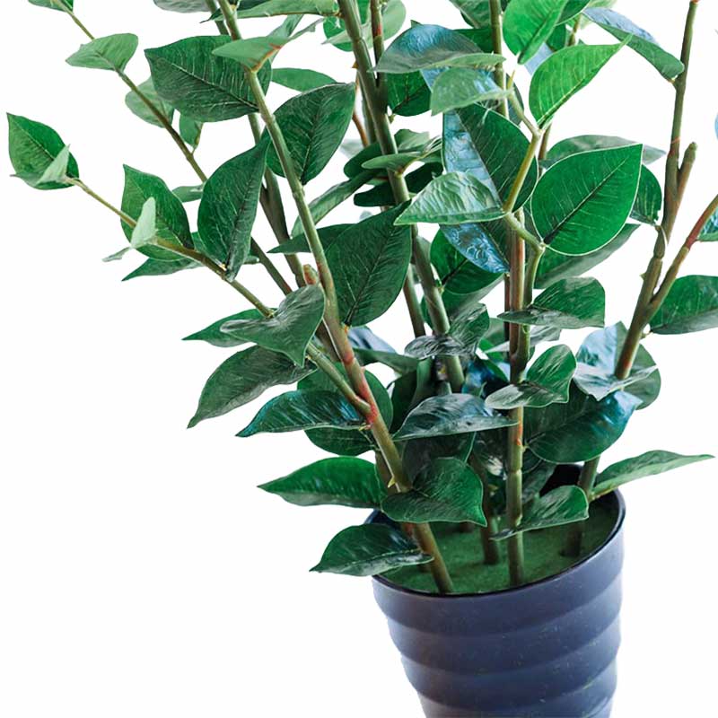Plant Couture - Artificial Plants - Green Joy 80cm - Close Up Of Leaves And Stems 