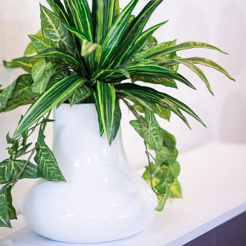 Plant Couture - Pots & Planters - Margiella -  Lifestyle Image 