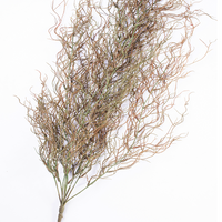 Hanging Rhisallis 120cm - Plant Couture - Artificial Plants