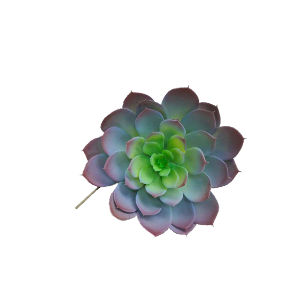 Plant Couture - Artificial Plants - Succulent Rock Rose Aeonium Grey Pink 18cm