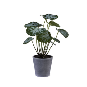 Saxifraga In Melamine Pot 30cm - Plant Couture - Artificial Plants - Potted