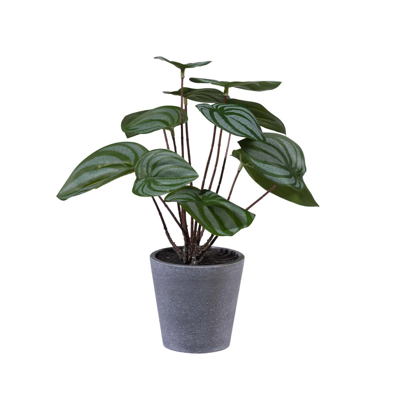 Scindapsus In Melamine Pot 30cm - Plant Couture - Artificial Plants - Potted