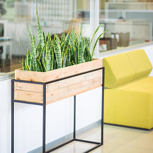 Reclaimed TPlant Couture - Artificial Plant Pot - Reclaimed Timber Trough with Steel Stand 130x35x90cm - Lifestyle Image With Artificial Sansevieria 2