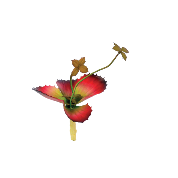 Plant Couture - Artificial Plants - Succulent Butterfly 18cm 