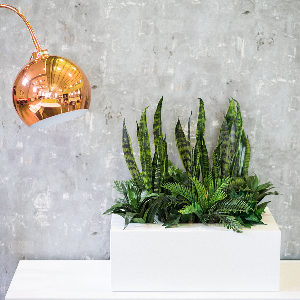 Plant Couture - Artificial Plant Pot - Metallic Table Top Box Mild Steel Planter - Lifestyle Image
