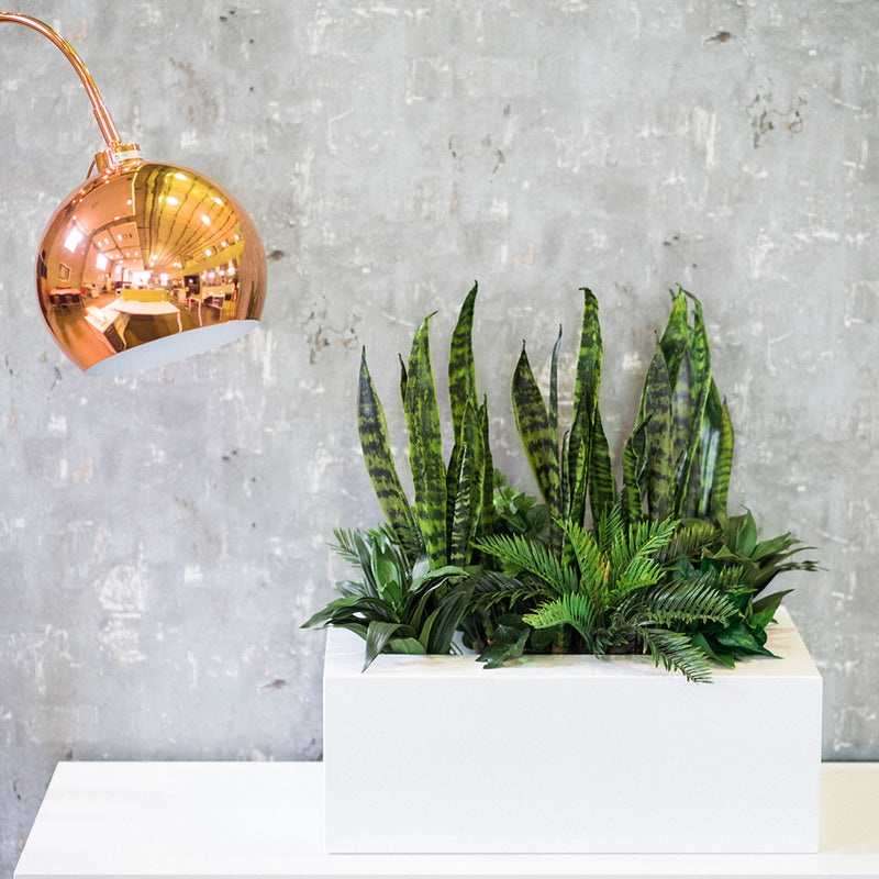 Plant Couture - Artificial Plant Pot - Metallic Table Top Box Mild Steel Planter - Lifestyle Image