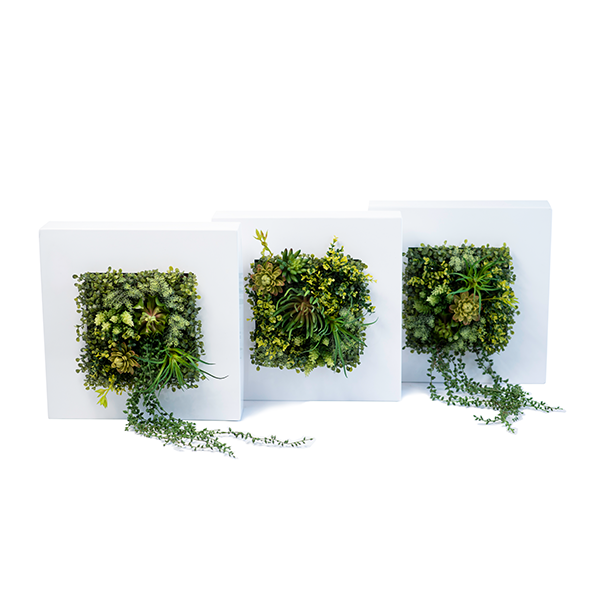 Plant Couture - Artificial Plant & Pot Combo - Wall Box Mild Steel with Succulents - 3 boxes 