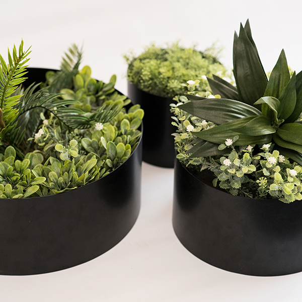 Wall Ring Set of 3 Planted Plant Couture Artificial Plant & Pot Co