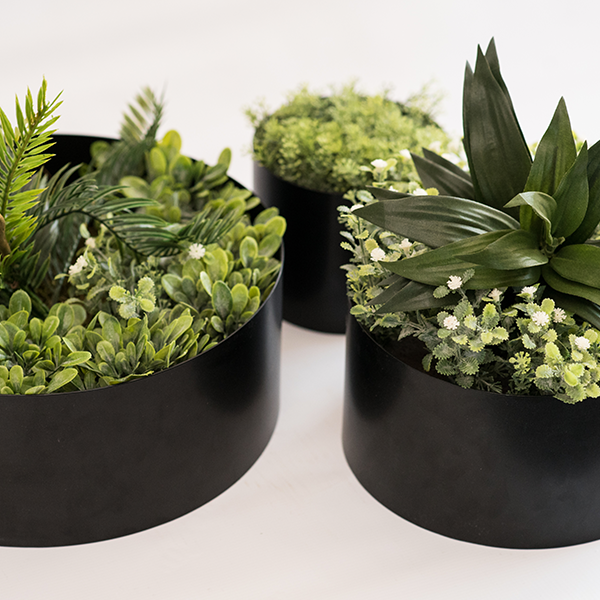 Plant Couture - Artificial Plant & Pot Combo - Wall Ring Set - View from top