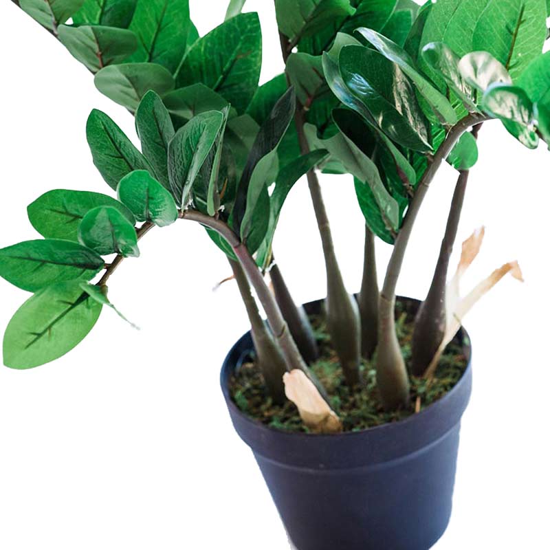 Plant Couture - Artificial Plants - Zamifolia 64cm - Close Up